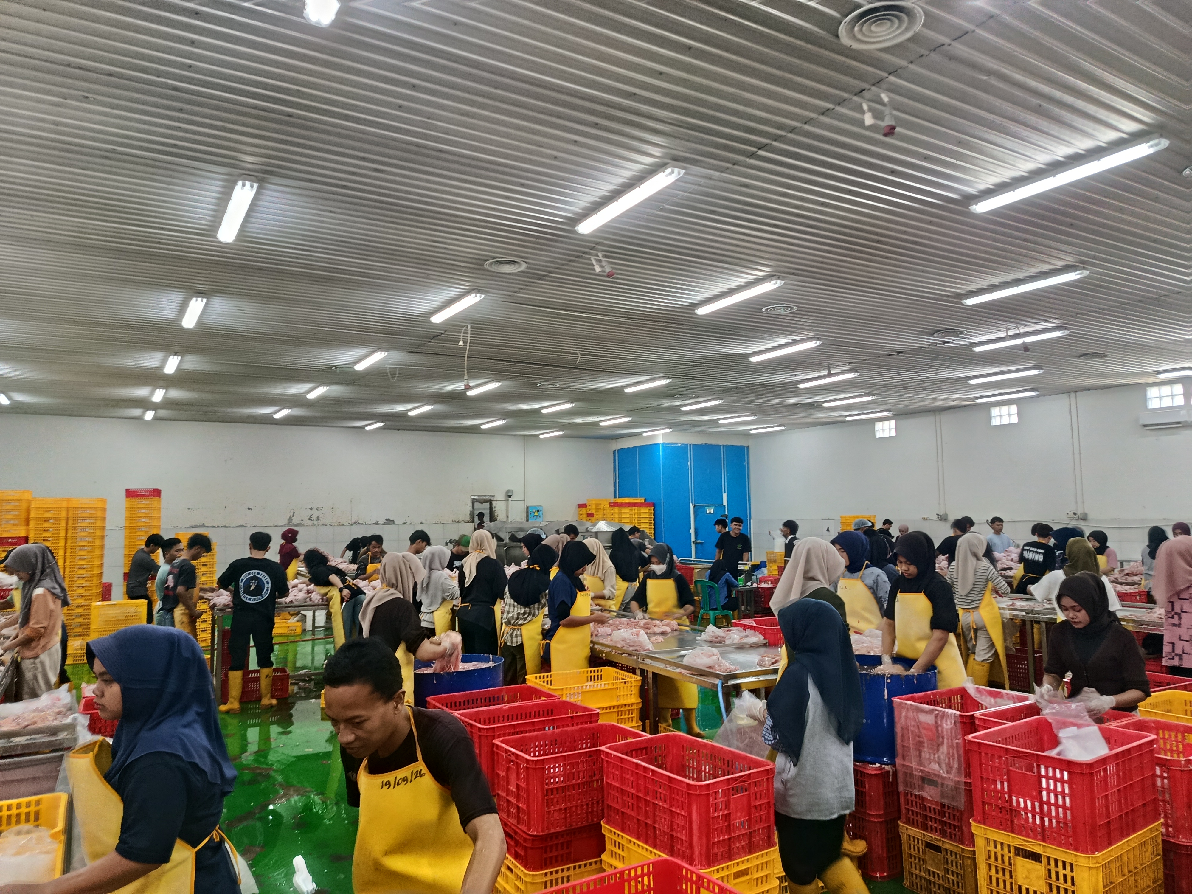 Area pemrosesan makanan dengan talenan bersih, pisau stainless, dan permukaan kerja higienis terang
