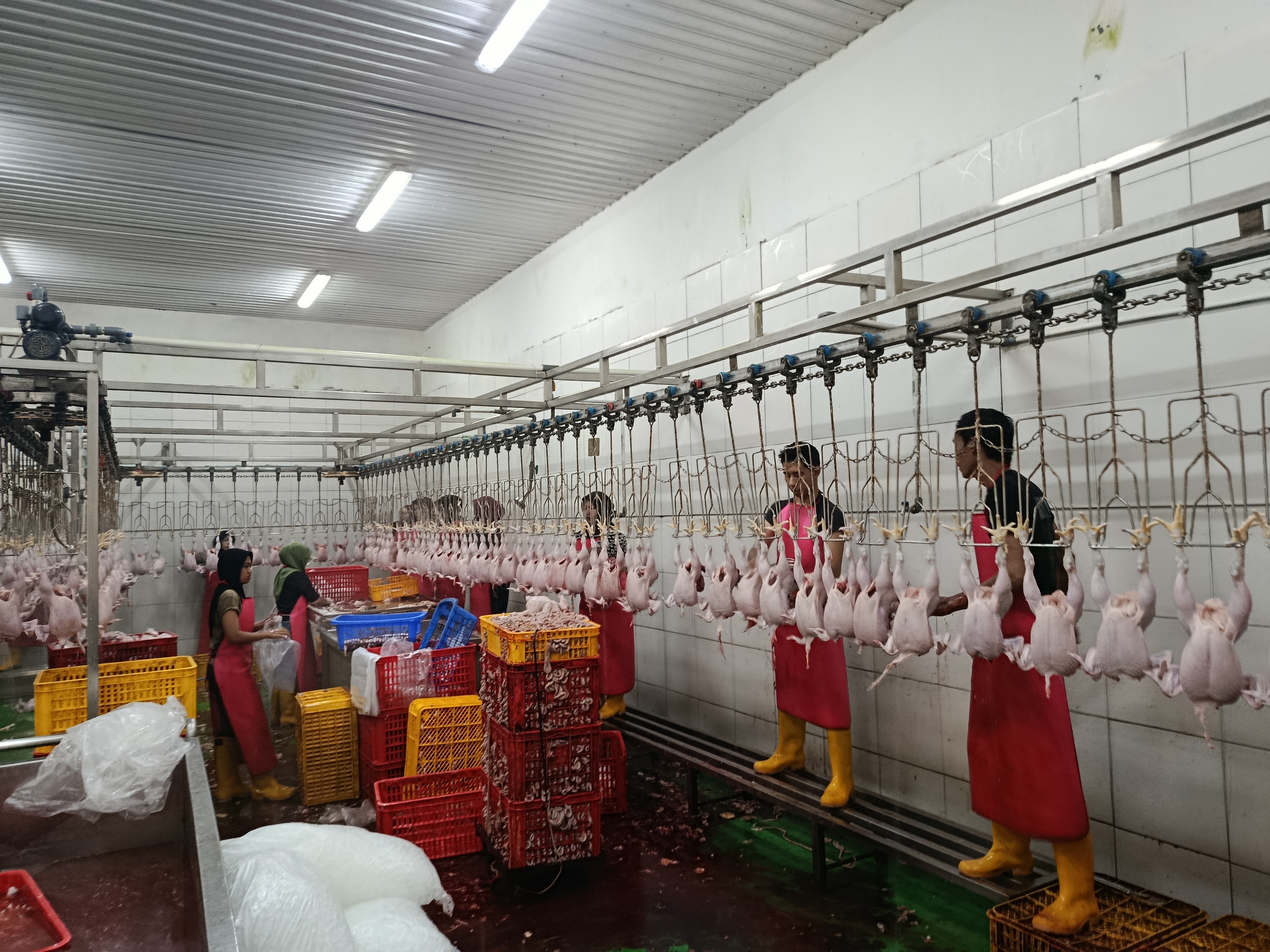 Area pemrosesan makanan profesional dengan peralatan stainless steel bersih dan pencahayaan putih terang
